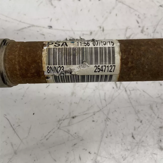 Semialbero anteriore completo sinistro