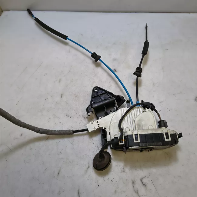 Serratura porta posteriore sinistra