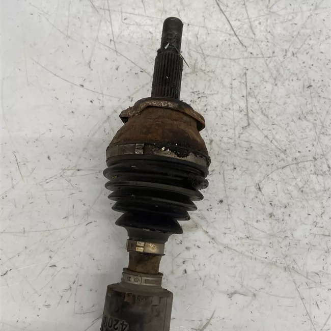 Semialbero anteriore completo sinistro