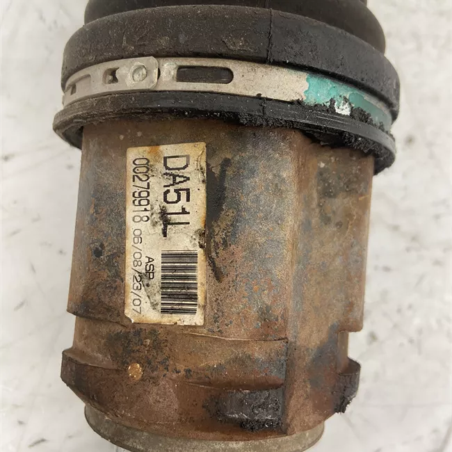 Semialbero anteriore completo sinistro