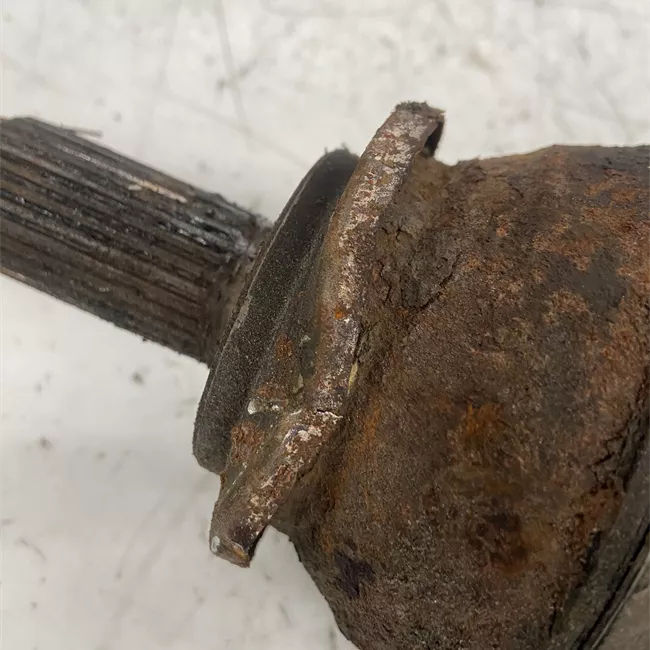 Semialbero anteriore completo sinistro