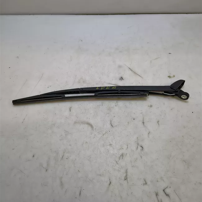 Braccio tergilunotto