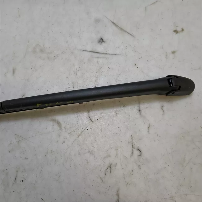 Braccio tergilunotto