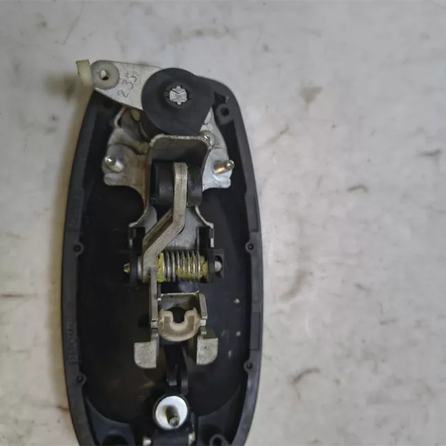 Maniglia porta anteriore sinistra