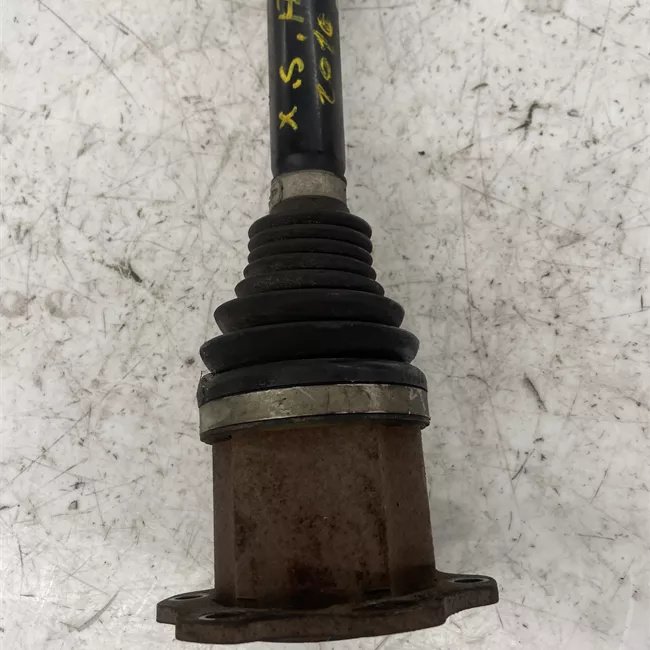 Semialbero anteriore completo sinistro