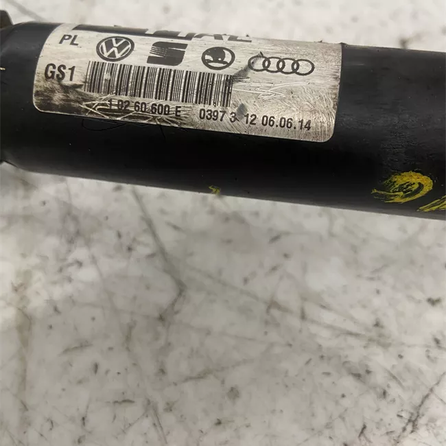 Semialbero anteriore completo sinistro