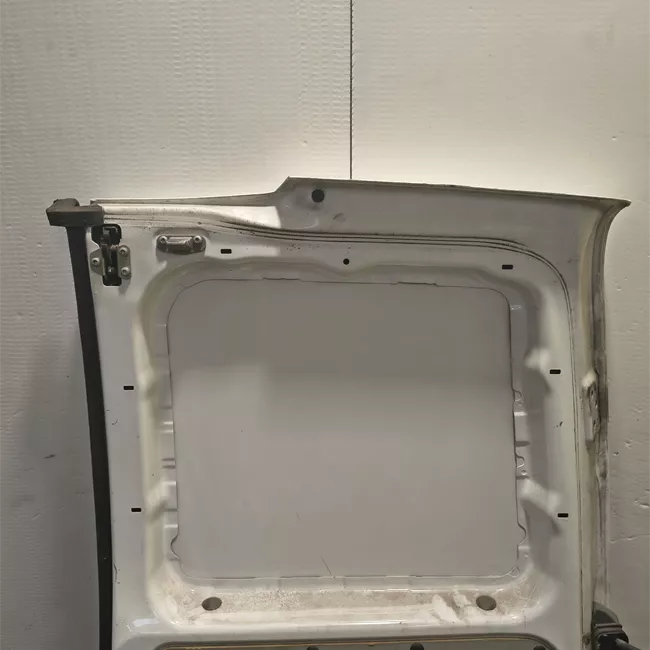 Porta carico posteriore a battente sinistra apertura 180° lamierata