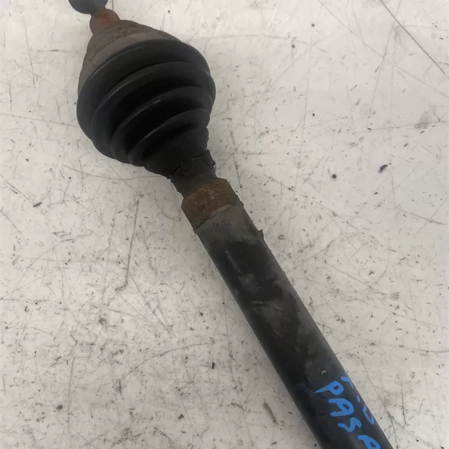 Semialbero anteriore completo destro