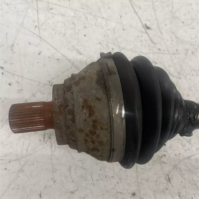 Semialbero anteriore completo sinistro