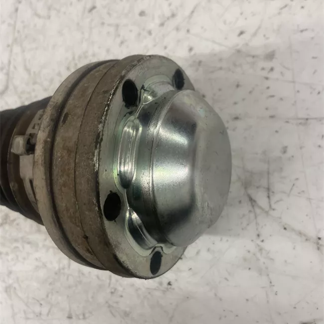 Semialbero anteriore completo sinistro