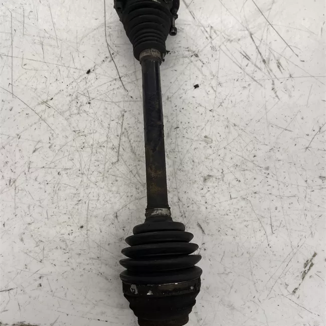 Semialbero anteriore completo sinistro