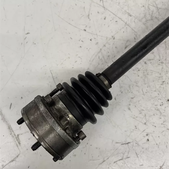 Semialbero anteriore completo destro