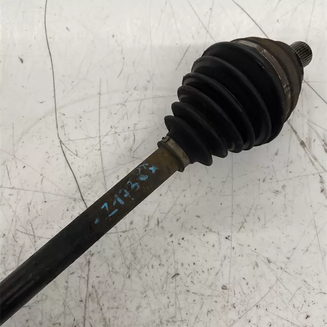 Semialbero anteriore completo destro