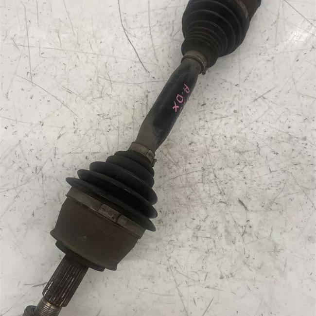 Semialbero anteriore completo destro