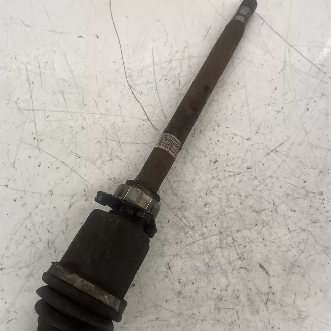 Semialbero anteriore completo destro