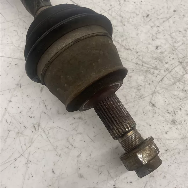 Semialbero anteriore completo sinistro