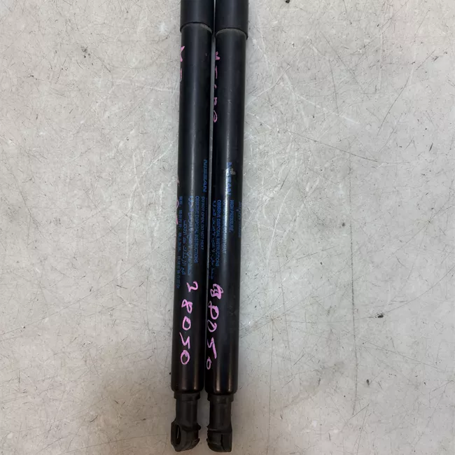 Asta ammortizzante portello posteriore sinistra