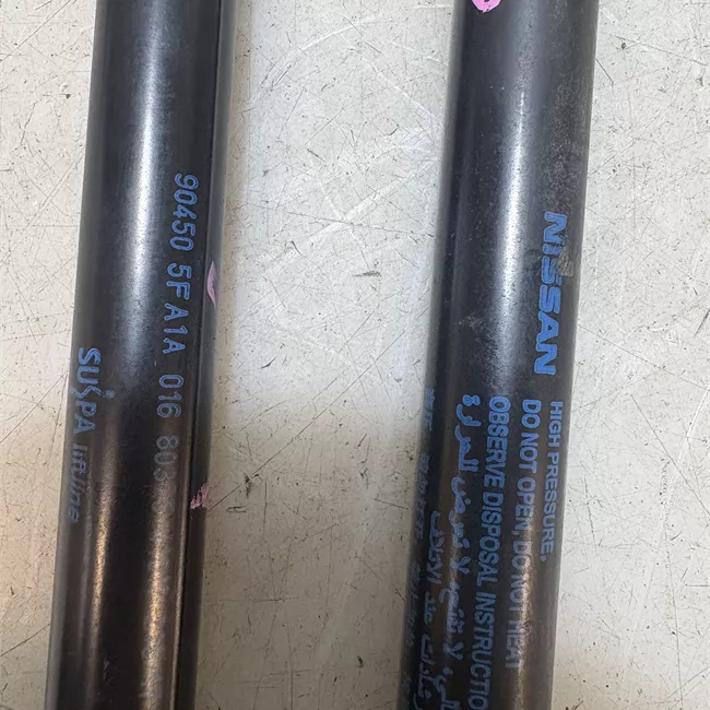 Asta ammortizzante portello posteriore sinistra