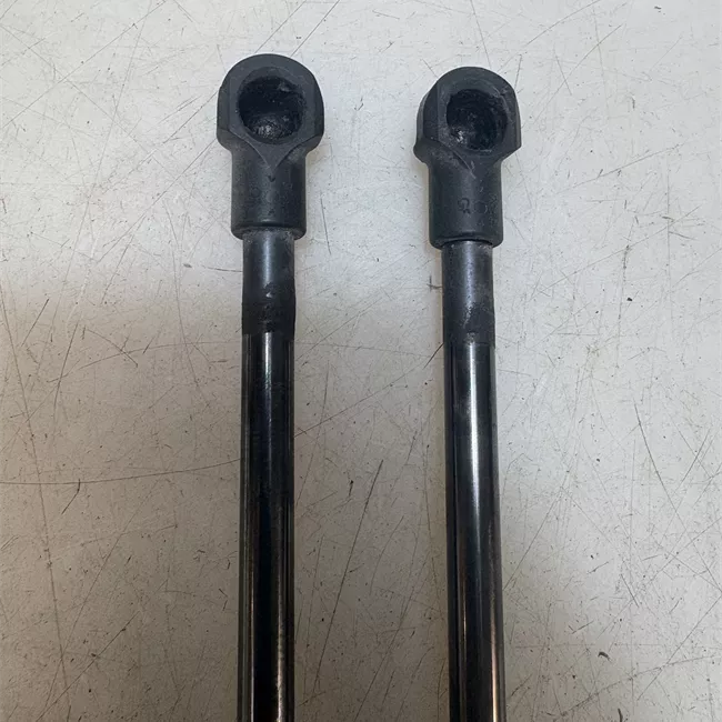 Asta ammortizzante portello posteriore sinistra