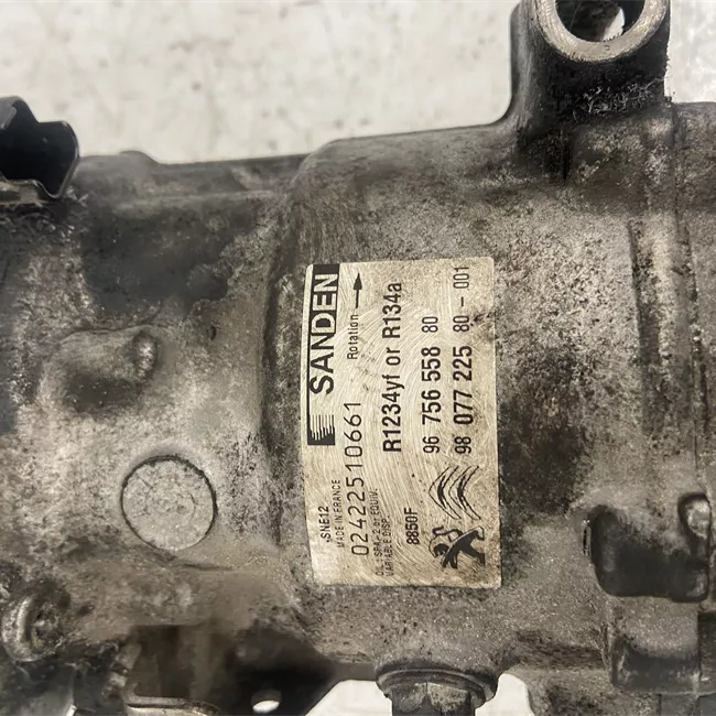 Compressore aria condizionata Sanden