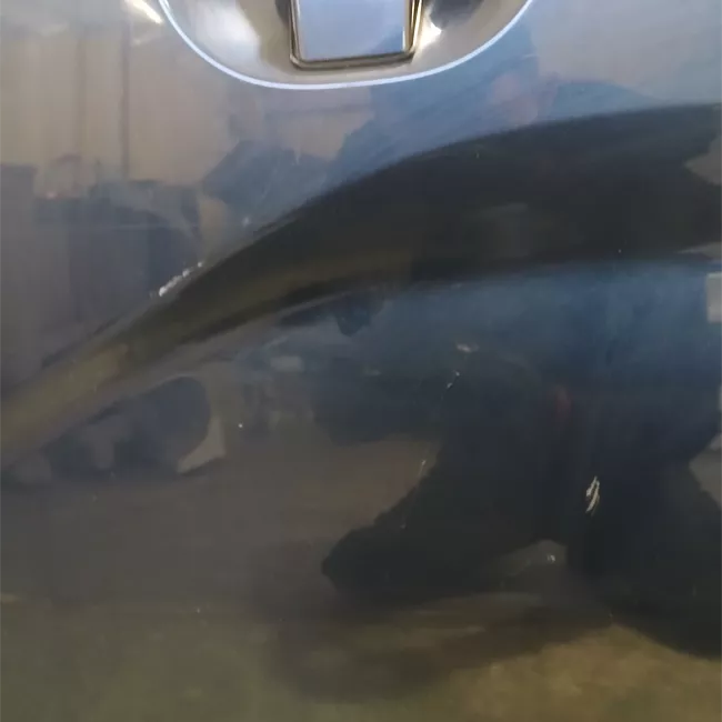 Porta posteriore sinistra Vetrata