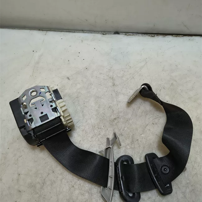 Cintura di sicurezza posteriore destra nero