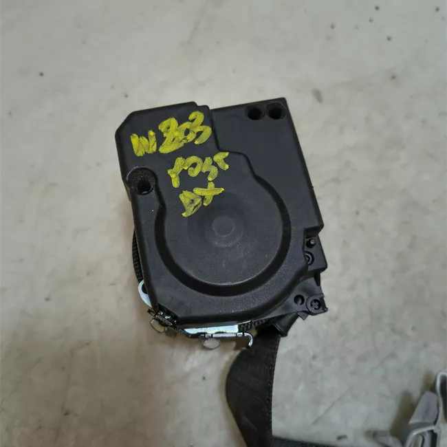 Cintura di sicurezza posteriore destra nero