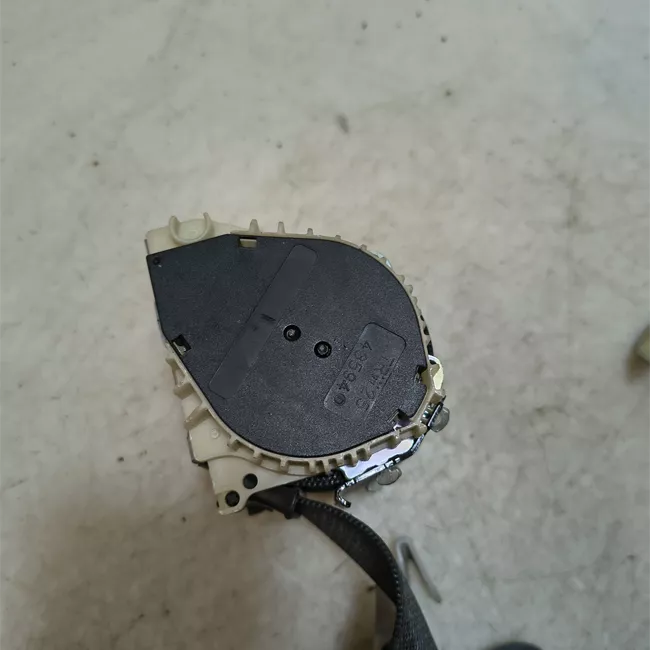 Cintura di sicurezza posteriore destra nero