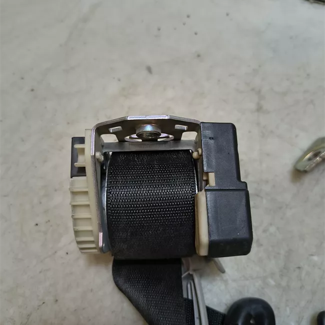 Cintura di sicurezza posteriore destra nero