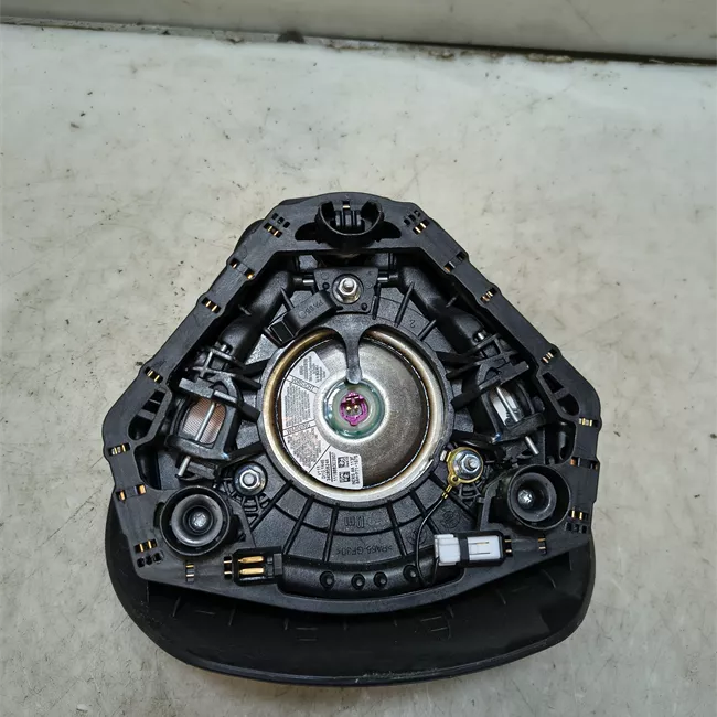 Dispositivo airbag lato guida