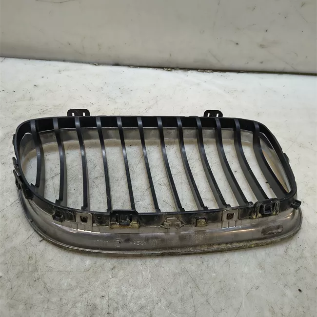 Griglia sinistra cromo