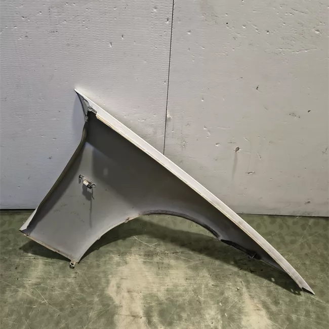 Parafango anteriore sinistro