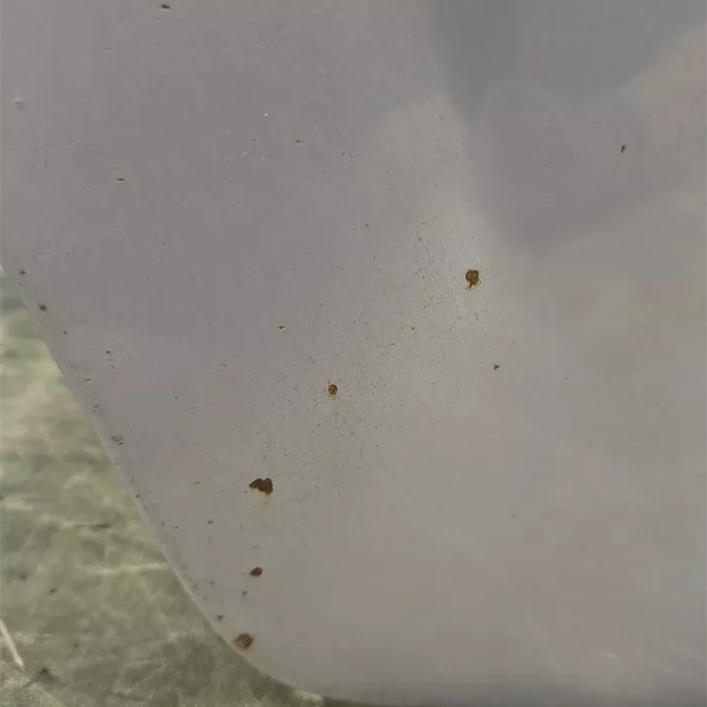 Porta posteriore destra