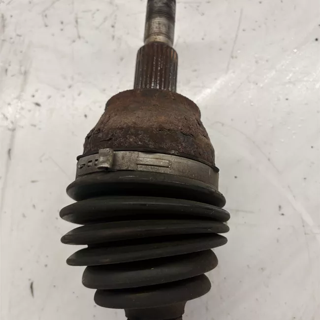 Semialbero anteriore completo destro