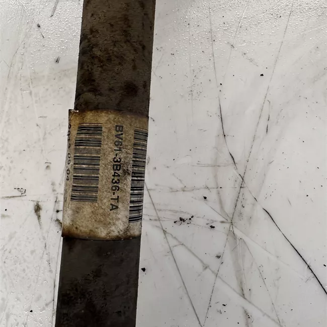 Semialbero anteriore completo destro