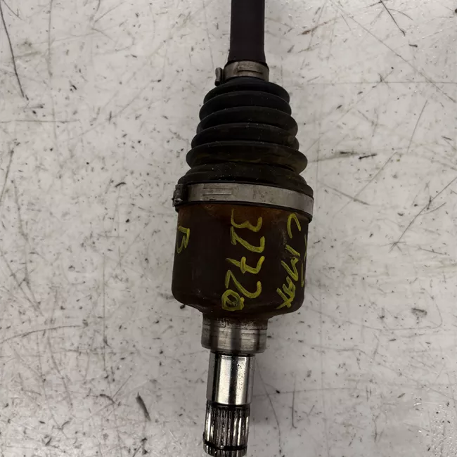 Semialbero anteriore completo sinistro