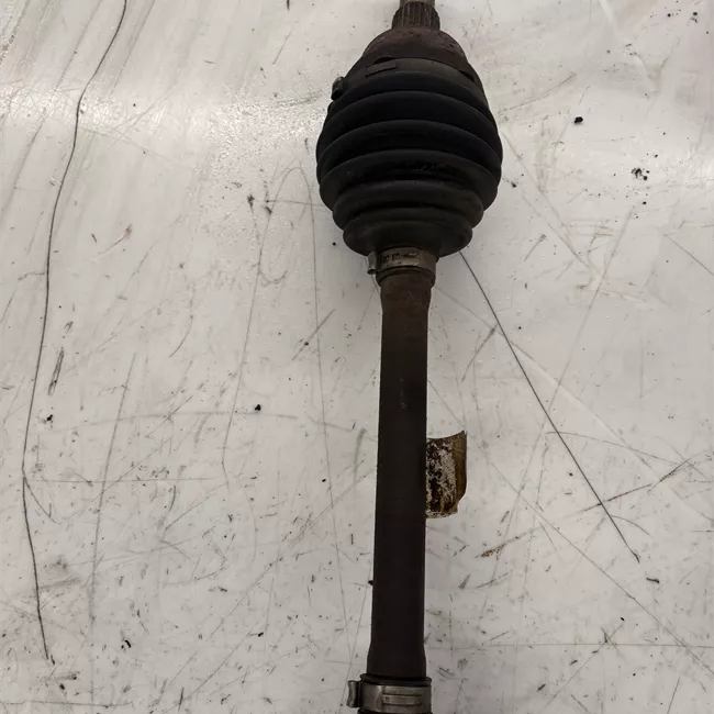 Semialbero anteriore completo sinistro