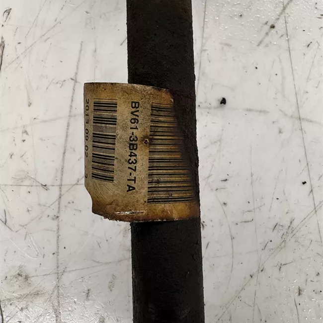 Semialbero anteriore completo sinistro