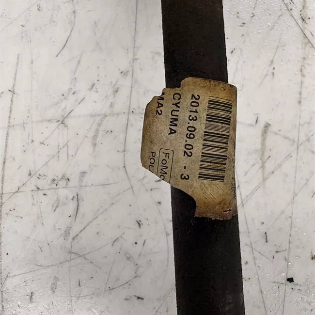 Semialbero anteriore completo sinistro