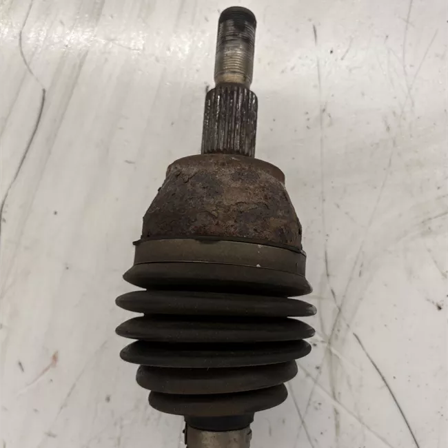 Semialbero anteriore completo sinistro