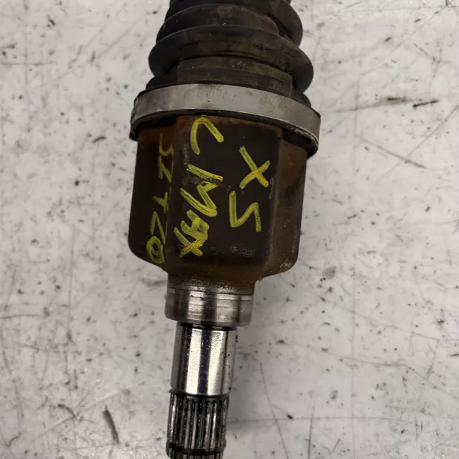 Semialbero anteriore completo sinistro