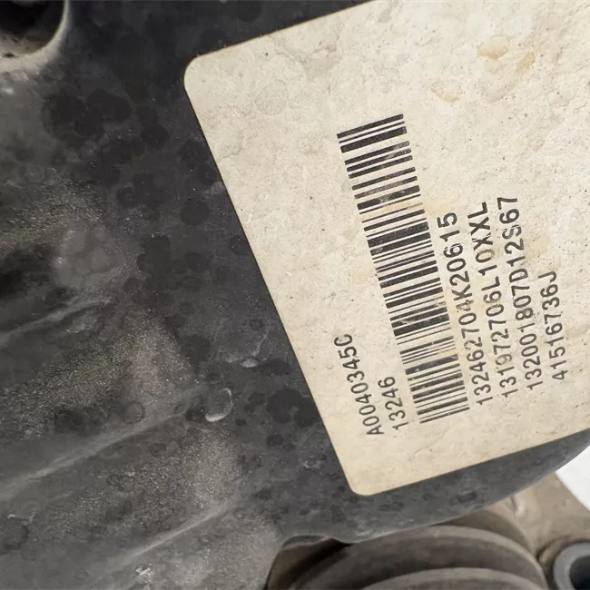 Scatola sterzo servoassistita elettronica 16