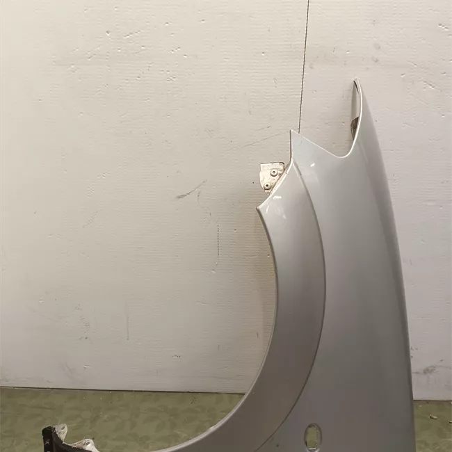 Parafango anteriore sinistro