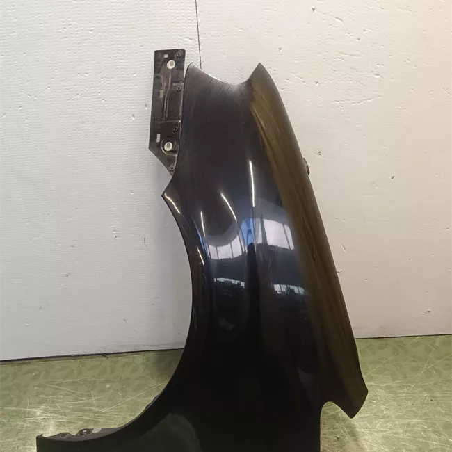 Parafango anteriore sinistro