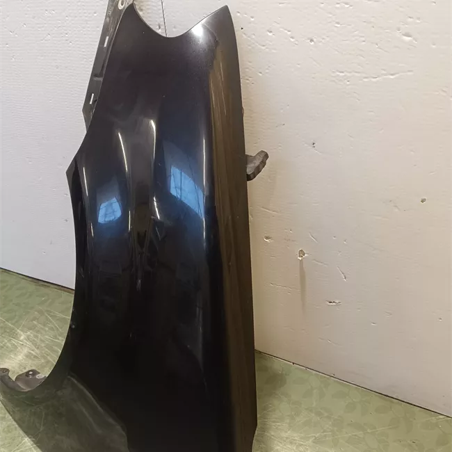 Parafango anteriore sinistro