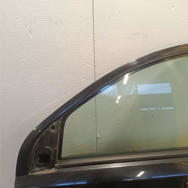 Porta anteriore sinistra