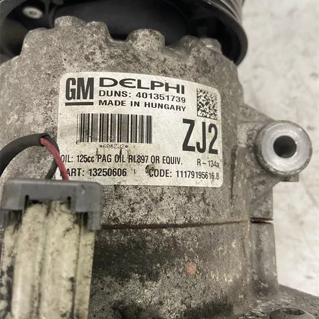 Compressore aria condizionata rotazionale