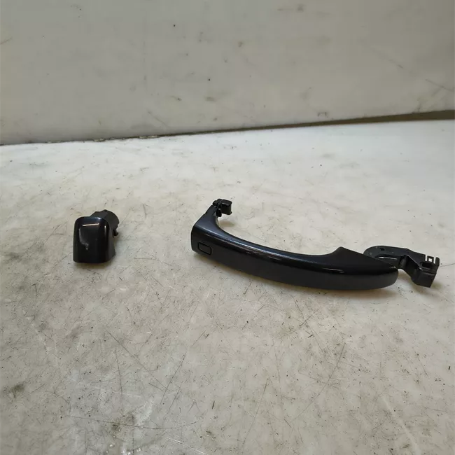 Maniglia porta posteriore sinistra