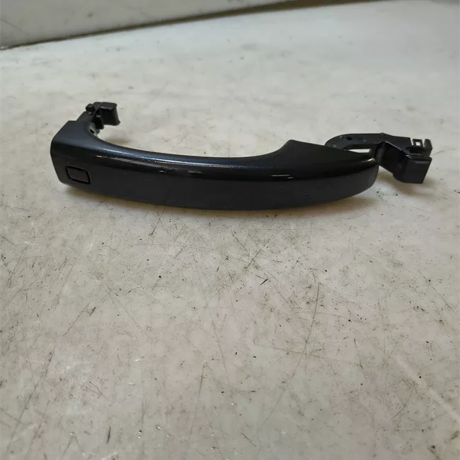 Maniglia porta posteriore sinistra