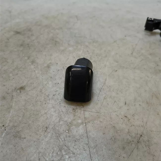 Maniglia porta posteriore sinistra